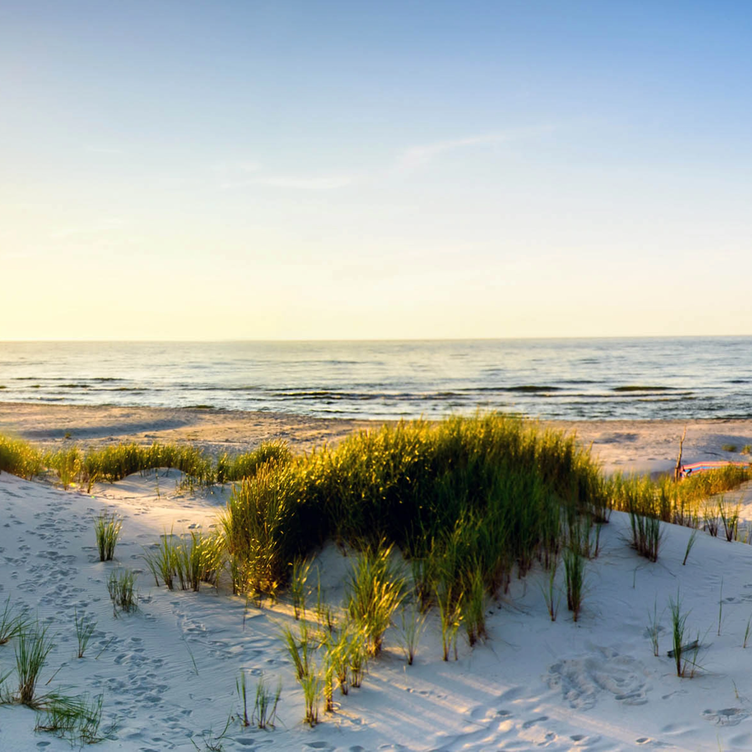 product thumbnail M40_Beach dunes_Glas_klein.jpg